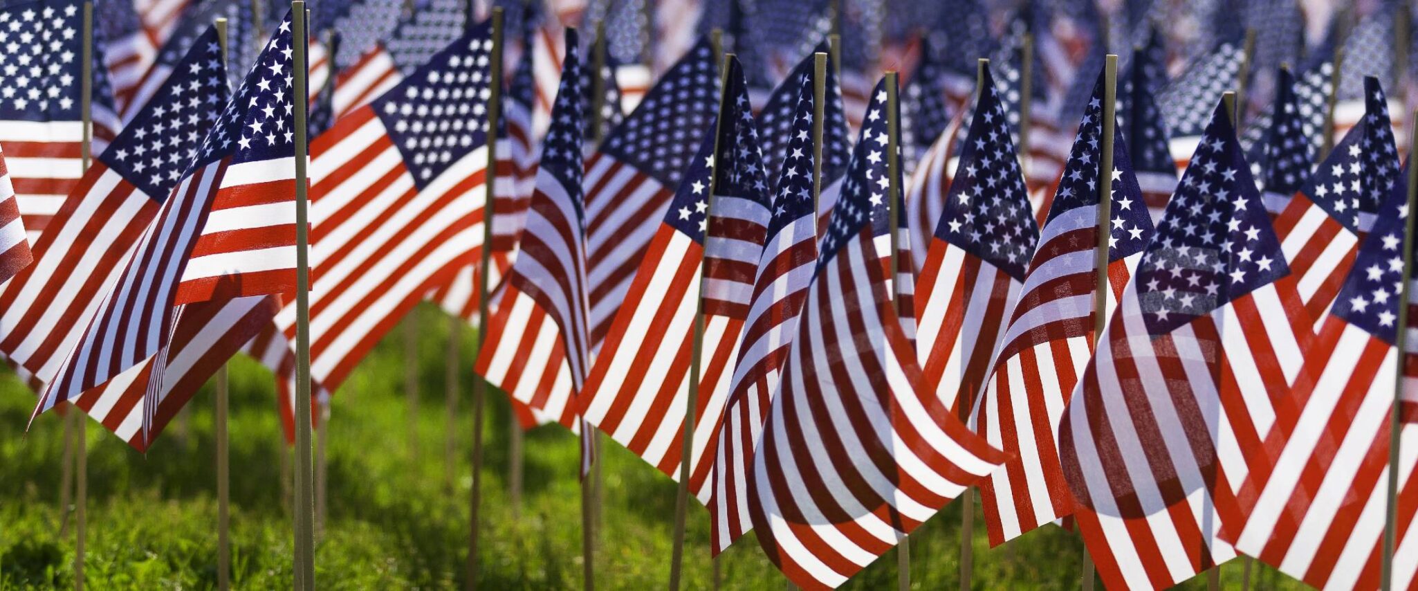 small American flags in the grass for memorial day