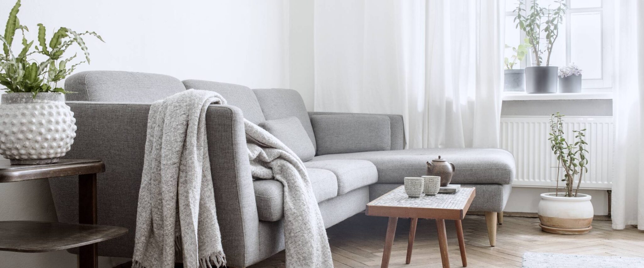 living room in a one bedroom senior apartment