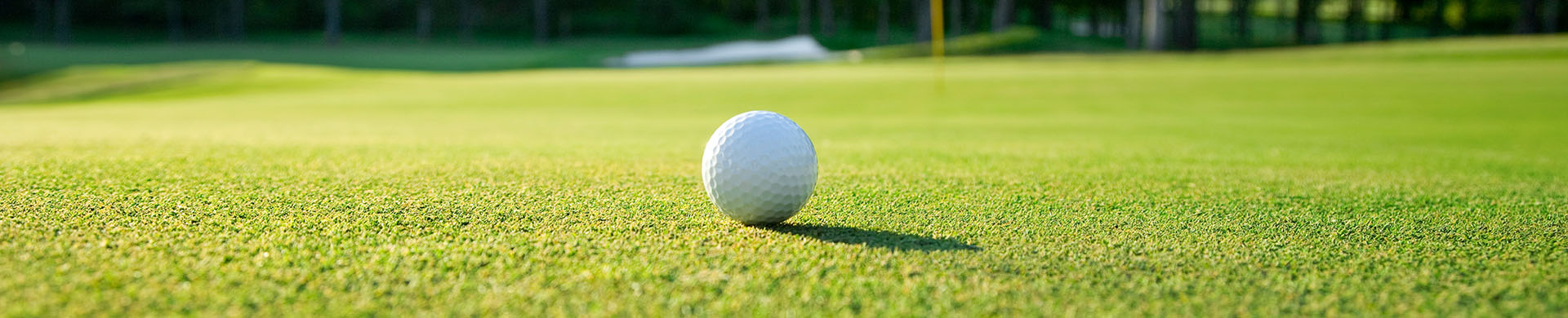 Close up on a golf ball on a putting green 